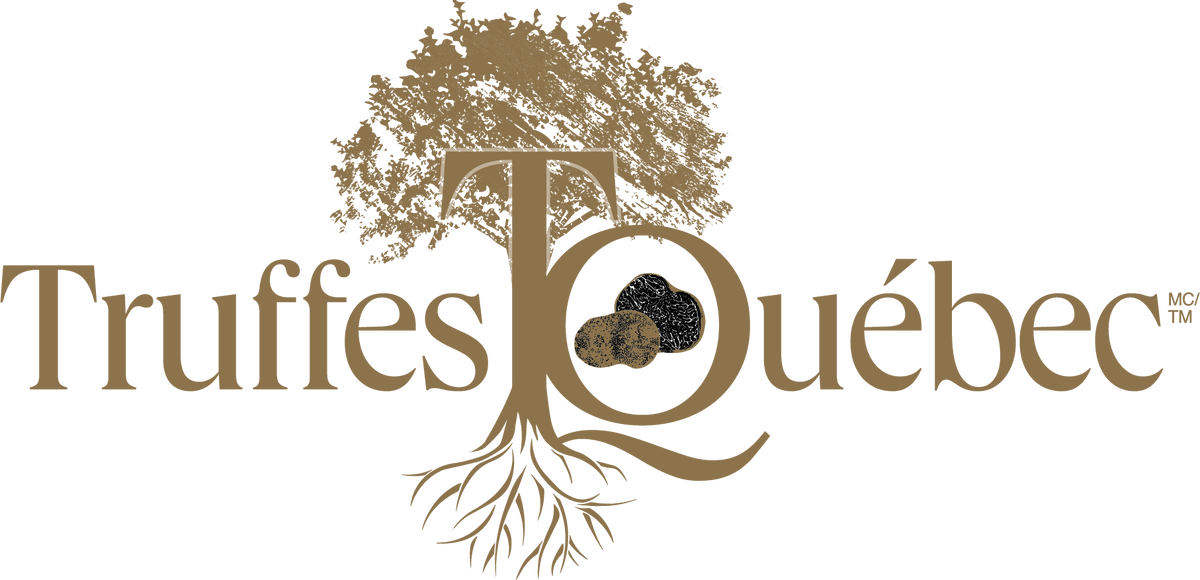 Orchards Legacy Appalachian Truffle Hazelnut Tree