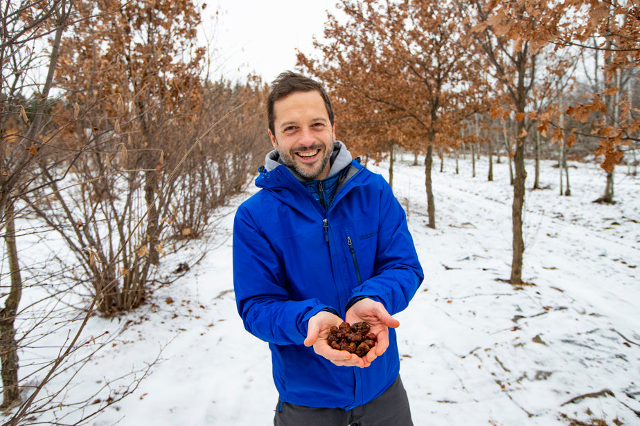 Appalachian Truffle Trees (100 Pack) - Live Premium Nursery Stock | Growers Pay